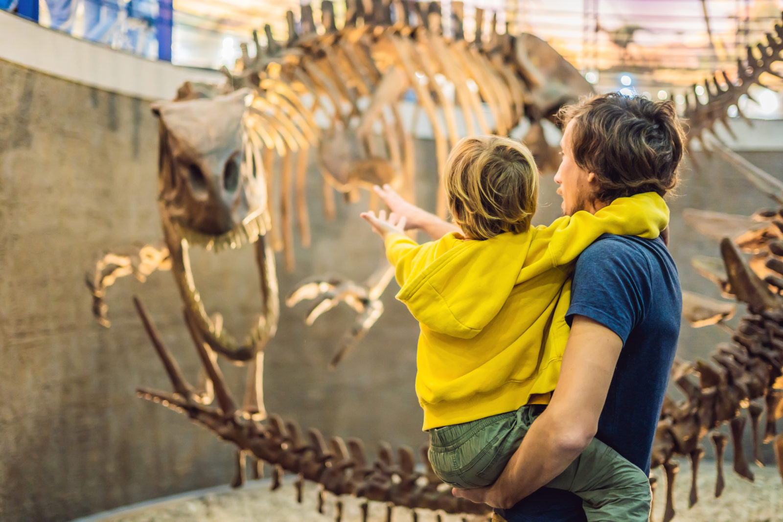 Dad and boy watching dinosaur skeleton in museum.