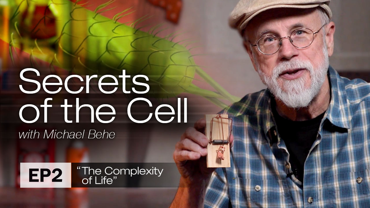 Secrets of the Cell with Michael Behe