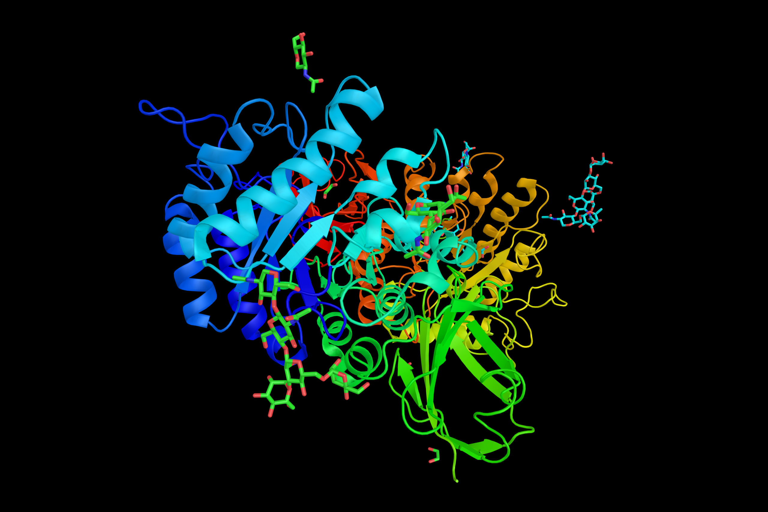 Alpha-galactosidase (3d structure), administered as enzyme repla