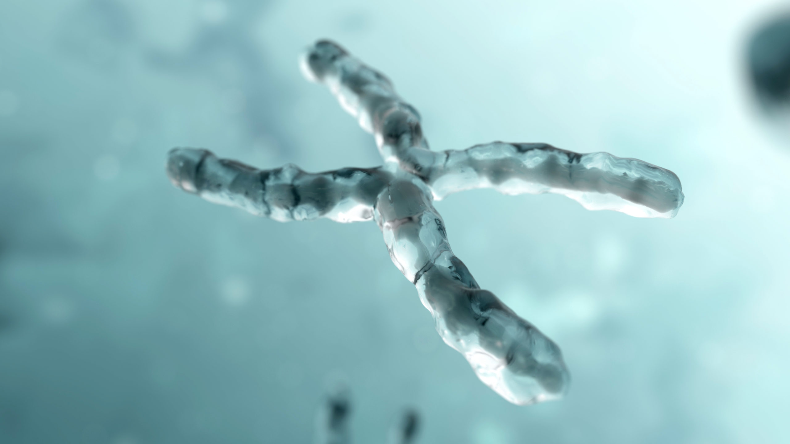 Chromosome under microscope. Genetic concept background