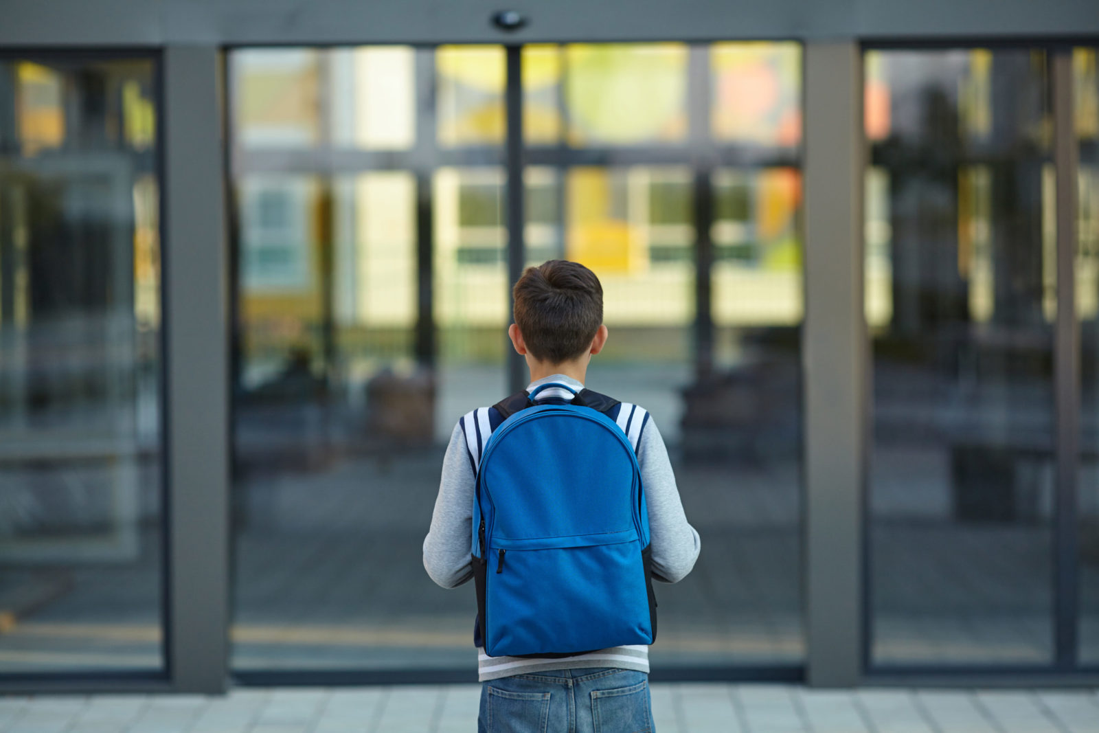 Schoolboy stands in front of the school door. Back to school.