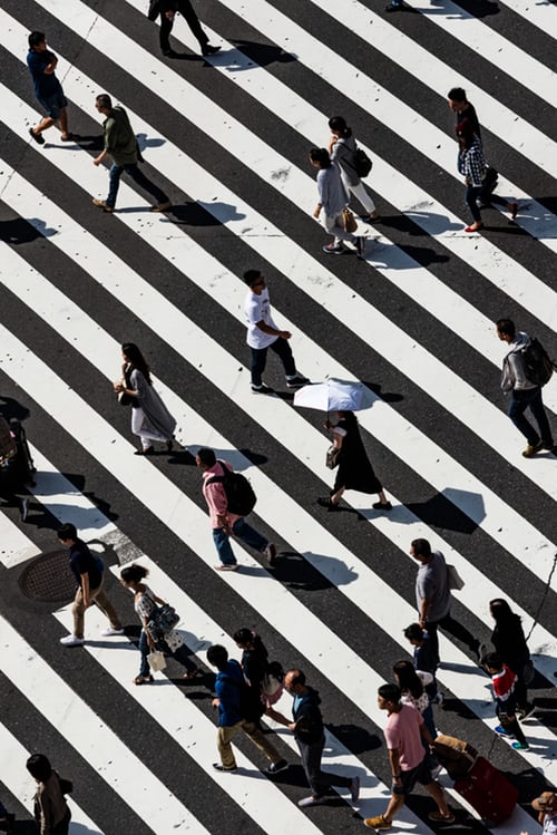 Black and white crosswalk