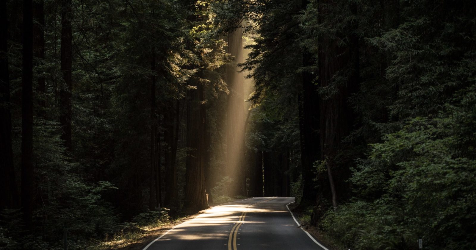 Light shines on a road