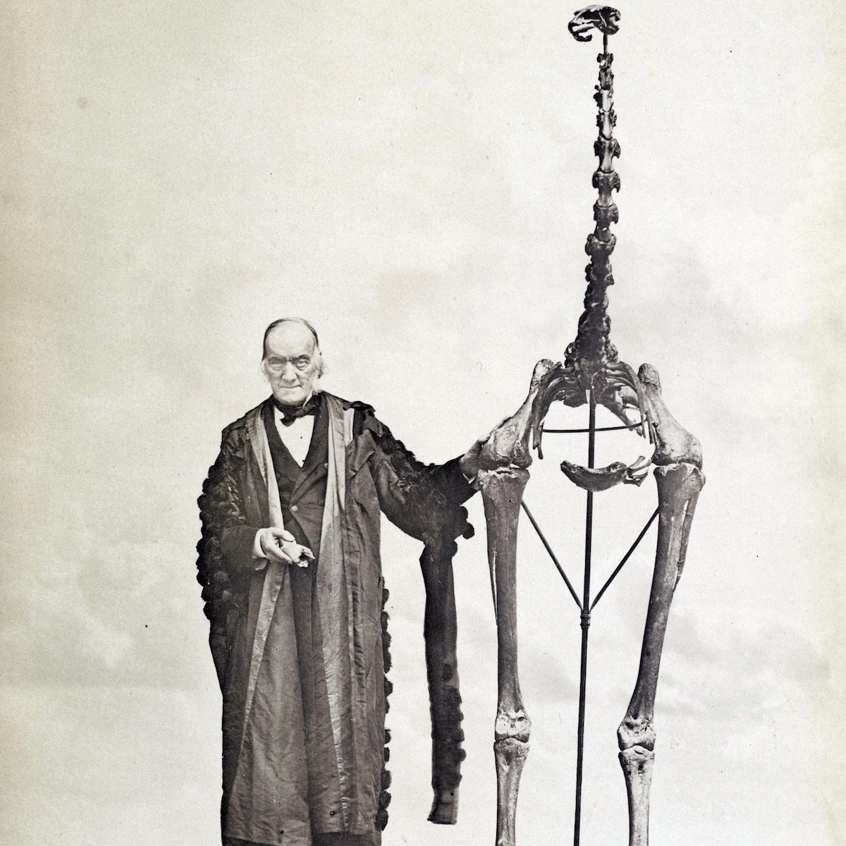 Richard Owen (left); beside him is the skeleton of a giant moa