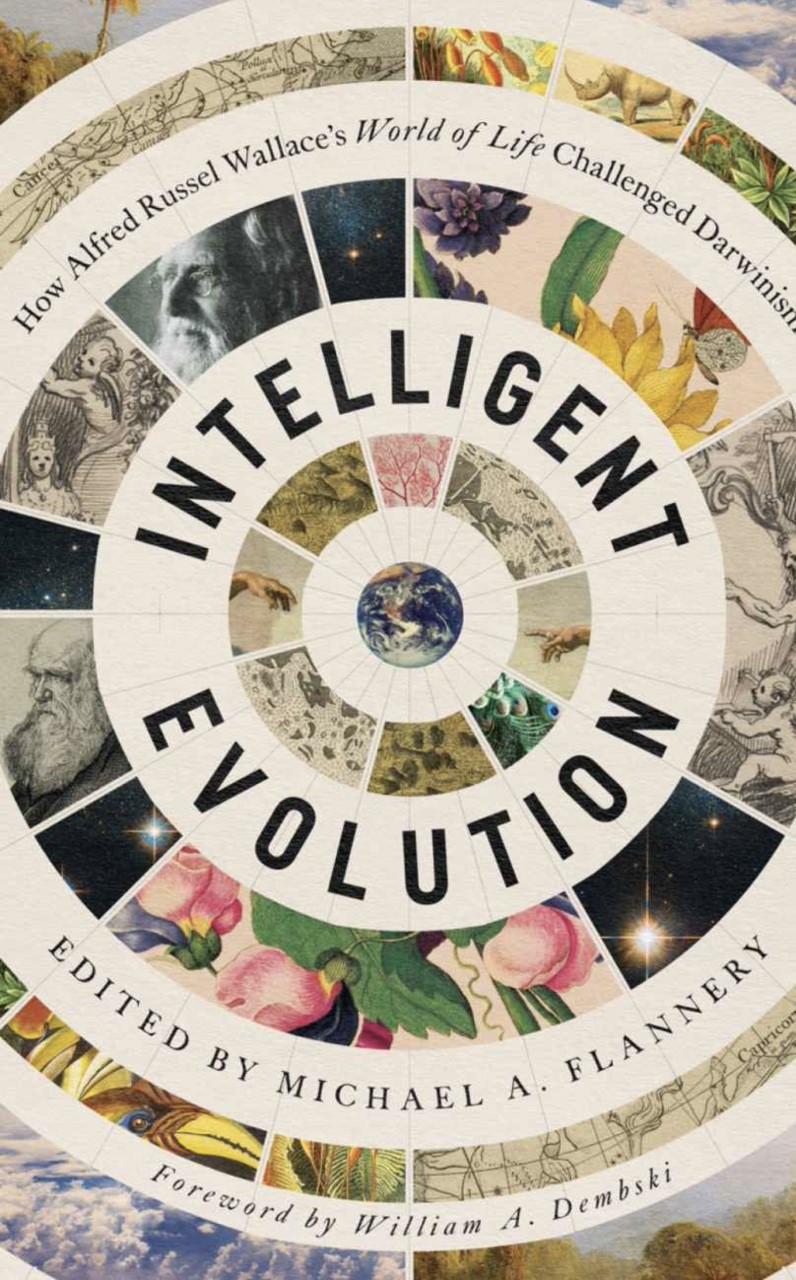 Intelligent Evolution book cover art