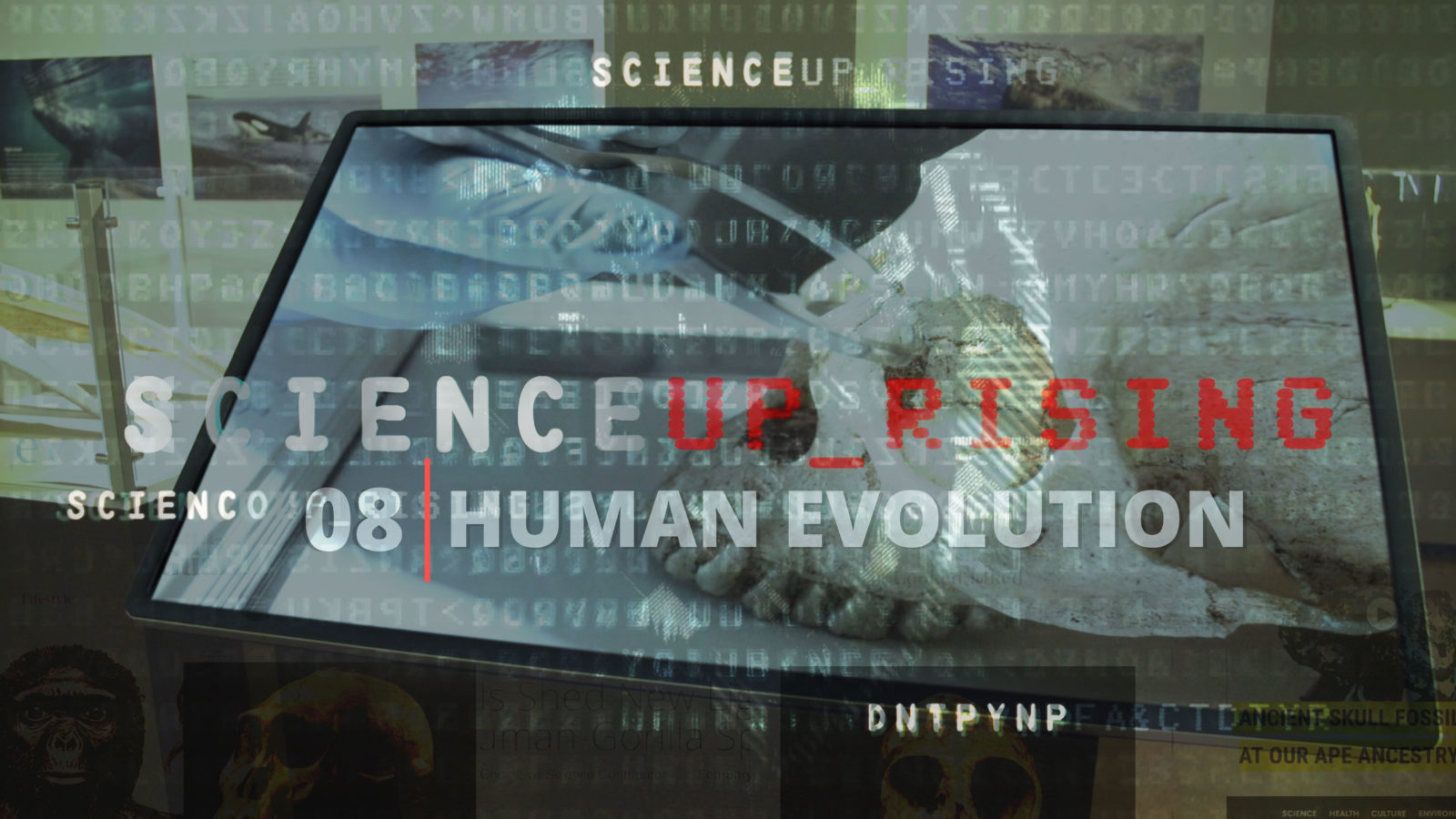Science Uprising 08 Human Evolution