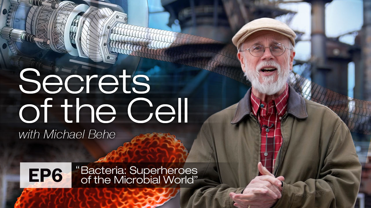 Secrets of the Cell Episode 6
