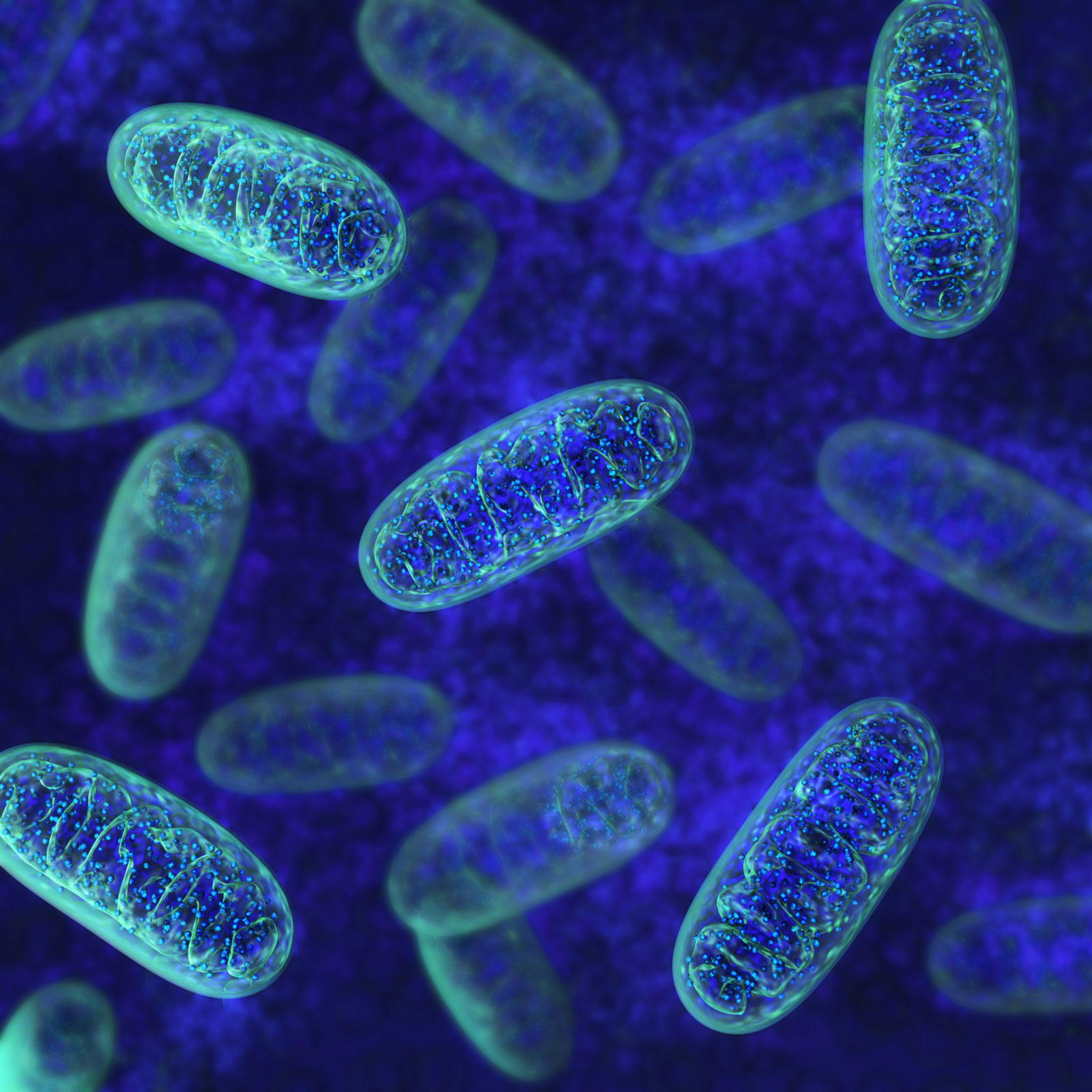 Mitochondria - microbiology 3d illustration