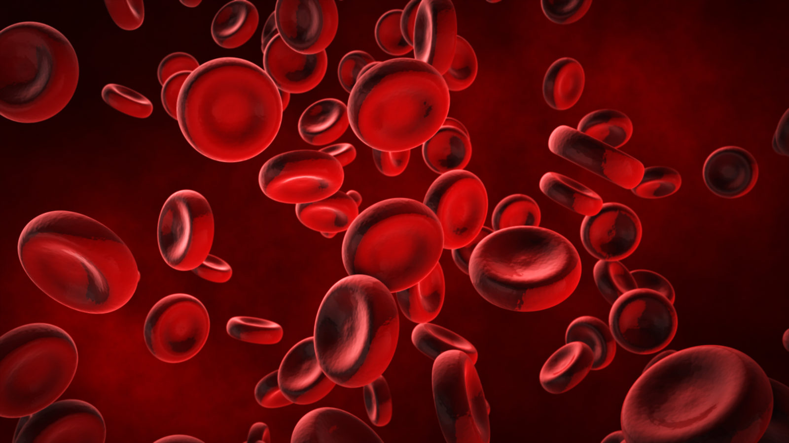 View under a microscope, blood-red blood cells in a living body, 3d illustration.