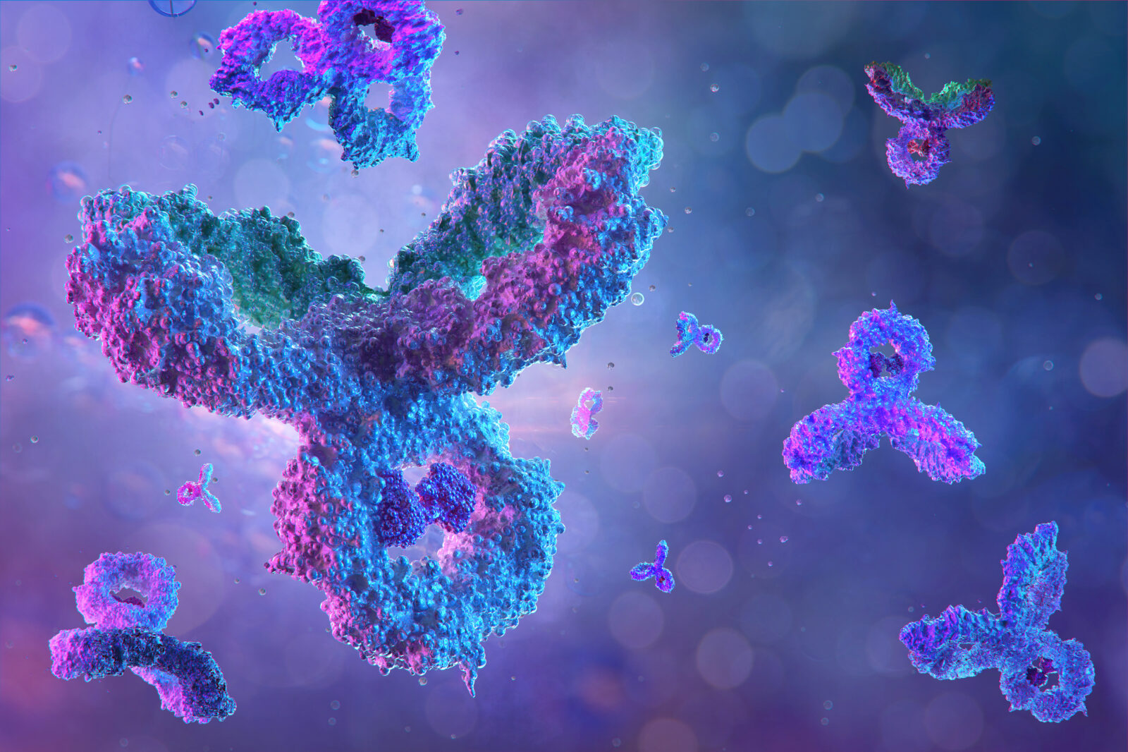 Antibodies, immunoglobulin Ig proteins 3D medical background. Immune system, IgM, IgG, IgE, IgD, IgA antibodies glycoproteins, specific antigens against coronavirus sars-cov-2 covid-19 influenza virus