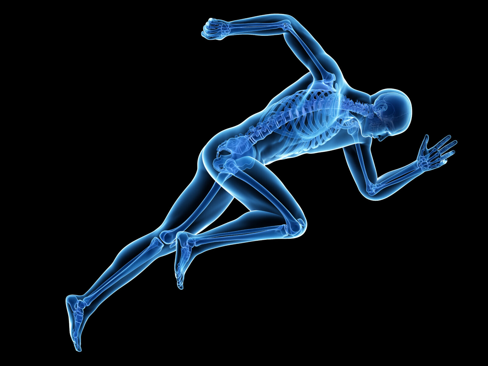 3d rendered medically accurate illustration of a sprinter