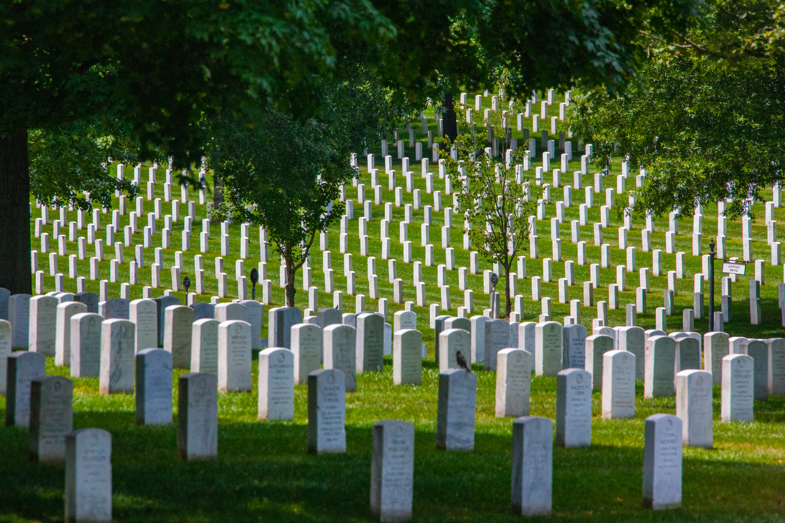 Arlington National Cemetery