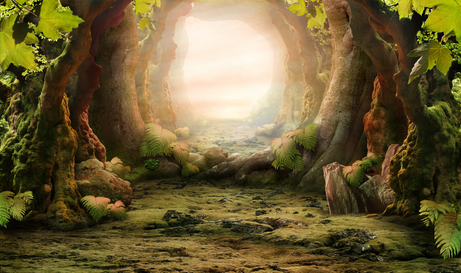 romantic forest view