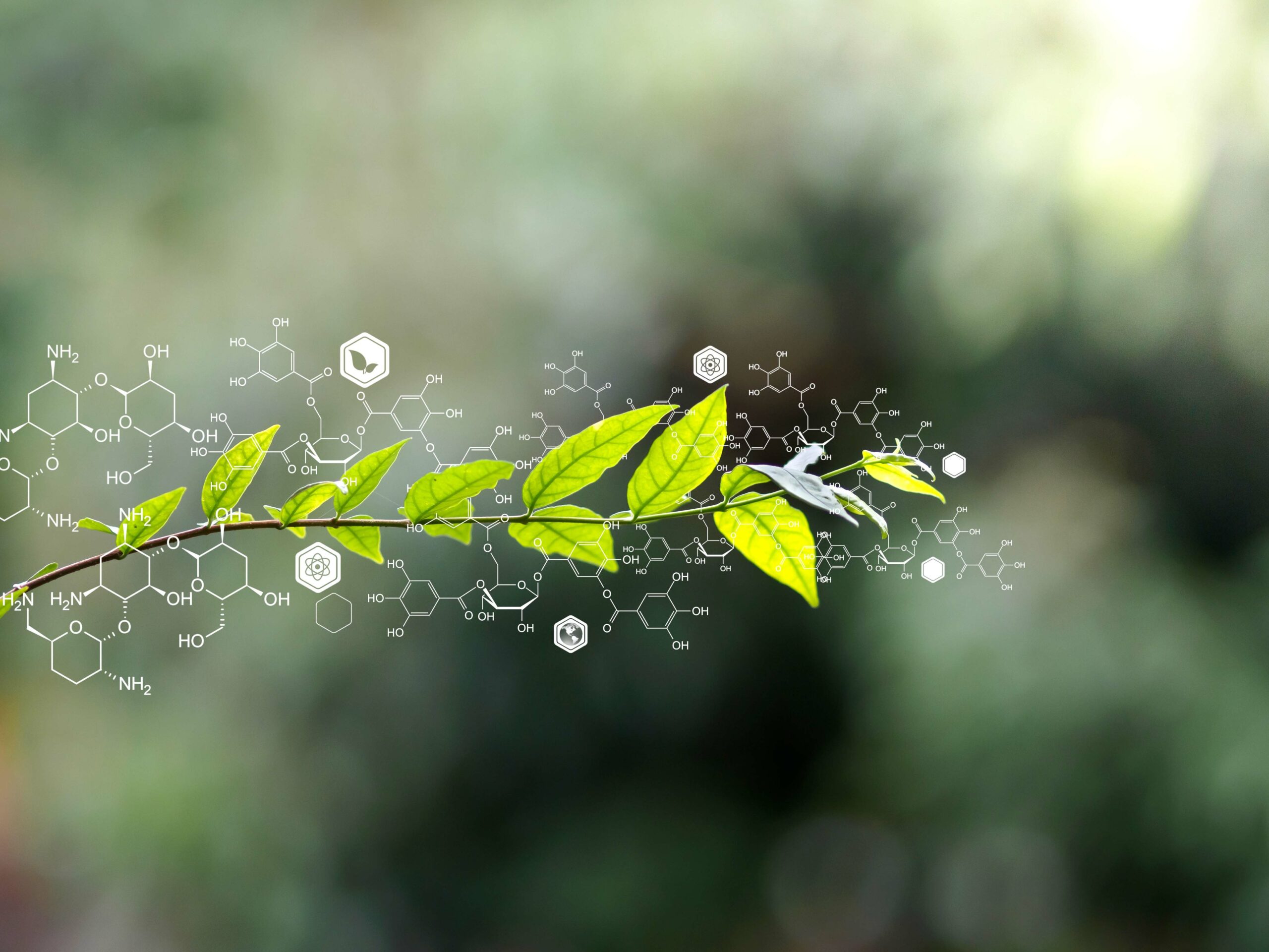 Register Now: HS Biology and Chemistry With Intelligent Design Integration