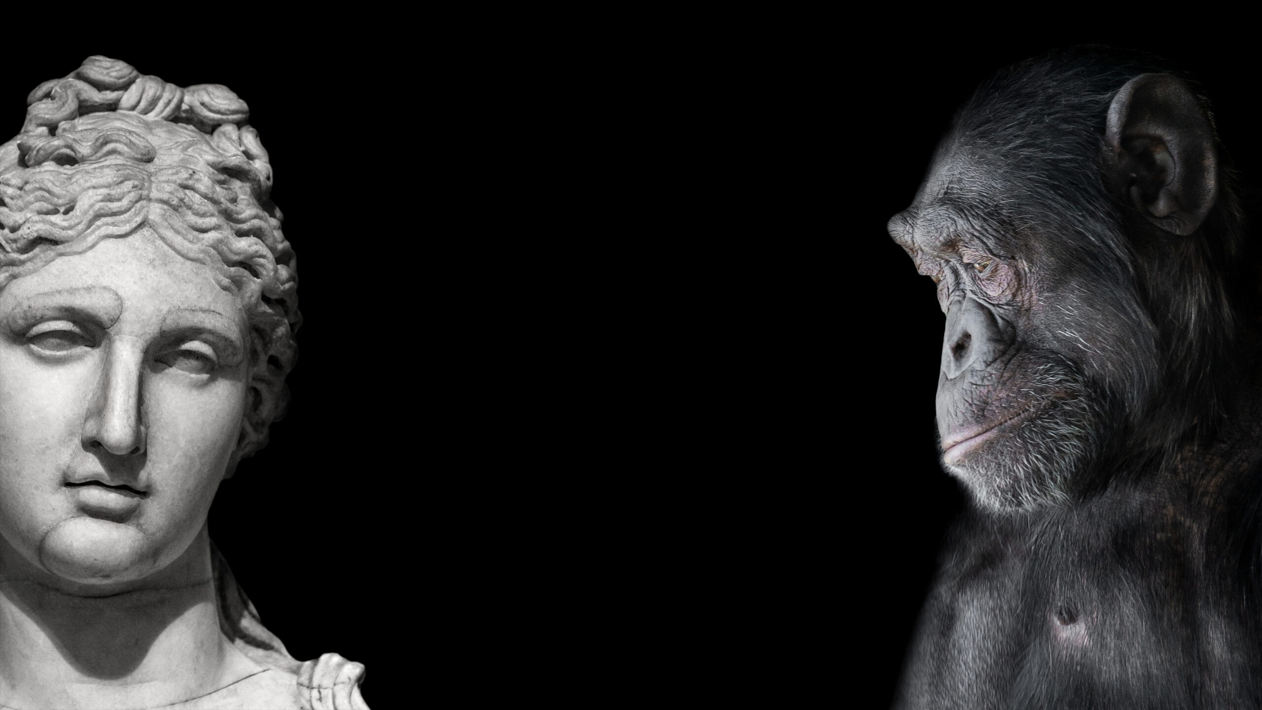 New Study Shatters the 1% Human-Chimp Difference Myth