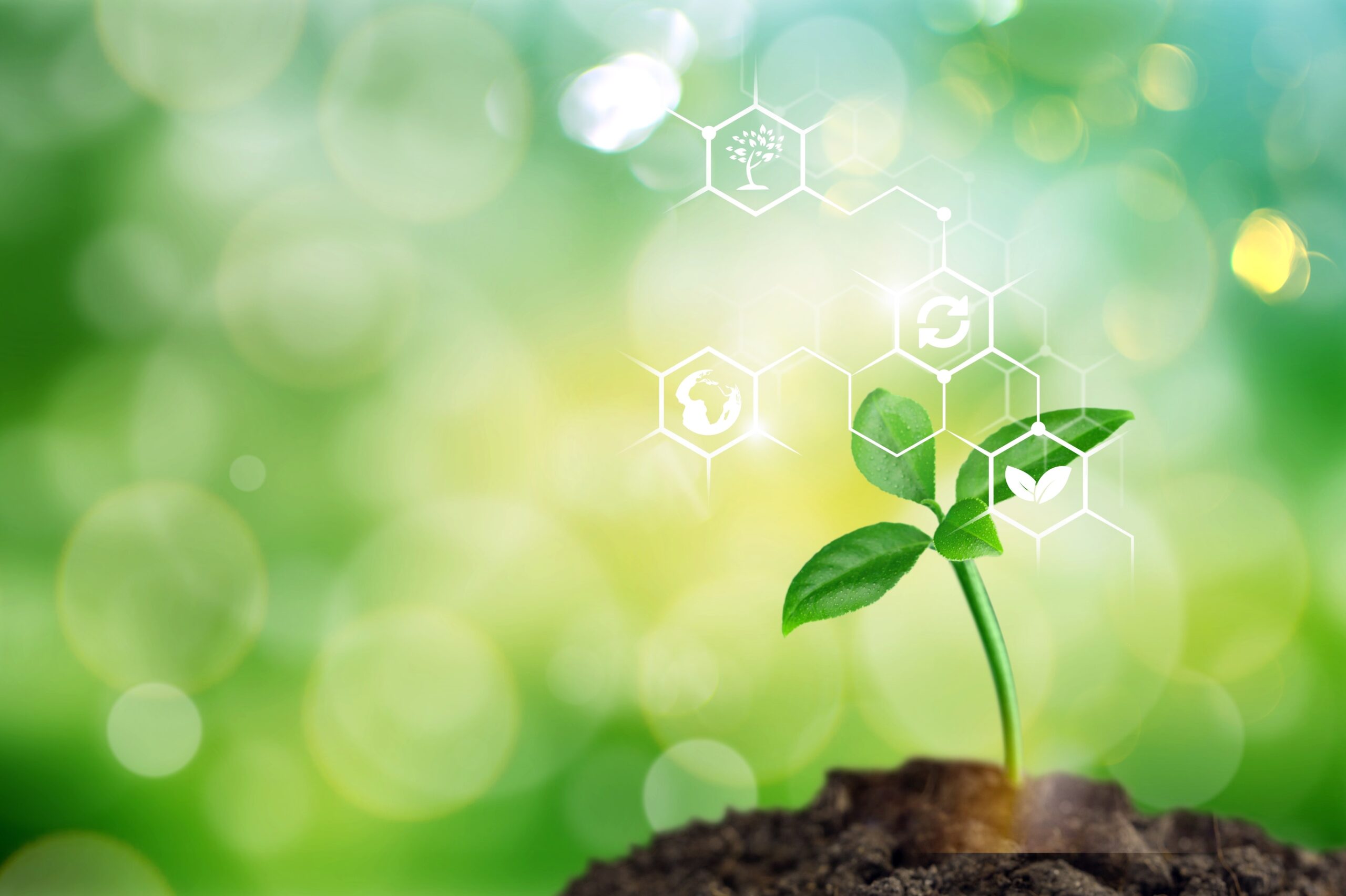 Brian Miller on Advancing Biology Through an Engineering Lens