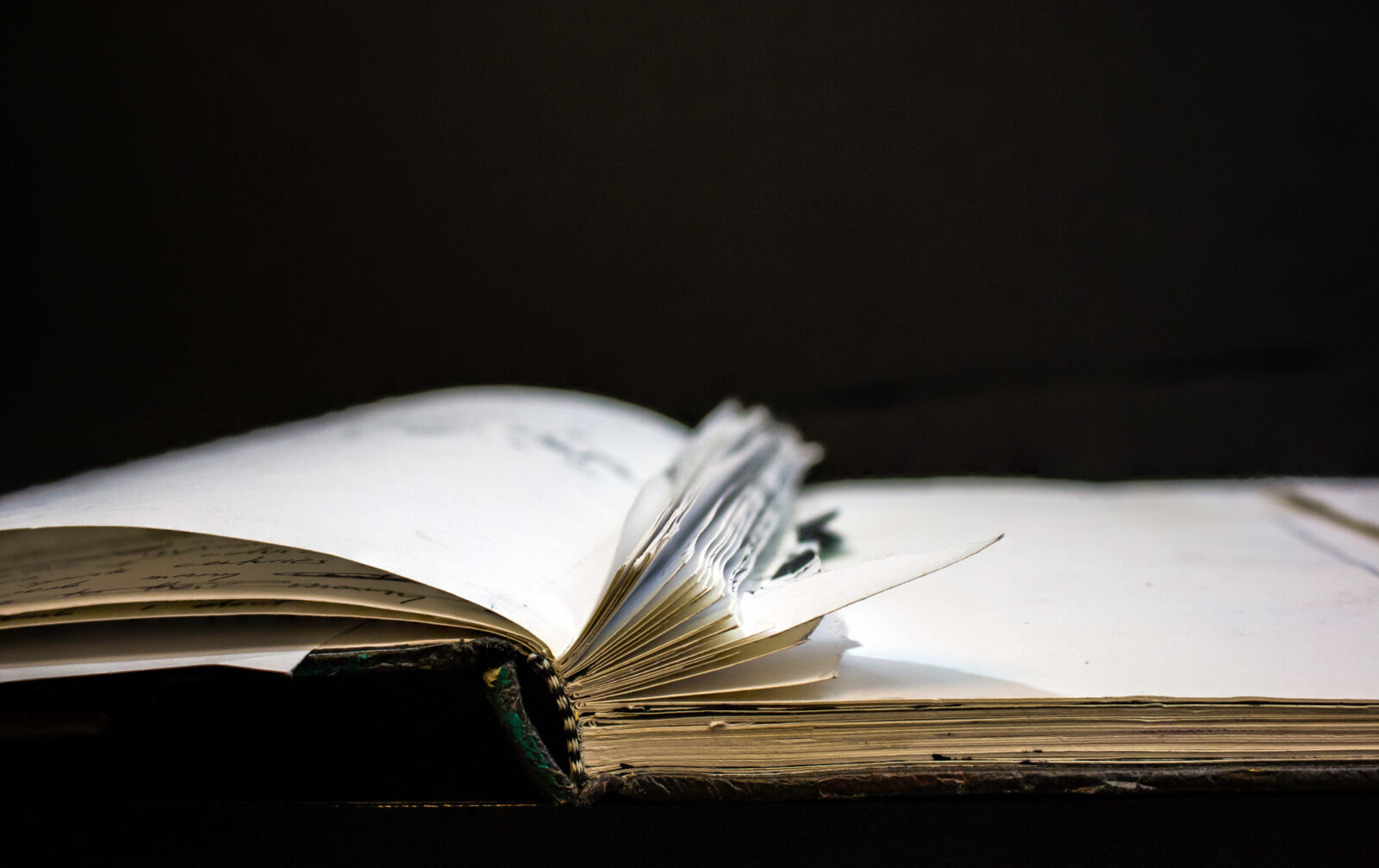 Pages torn out of notebook closeup.