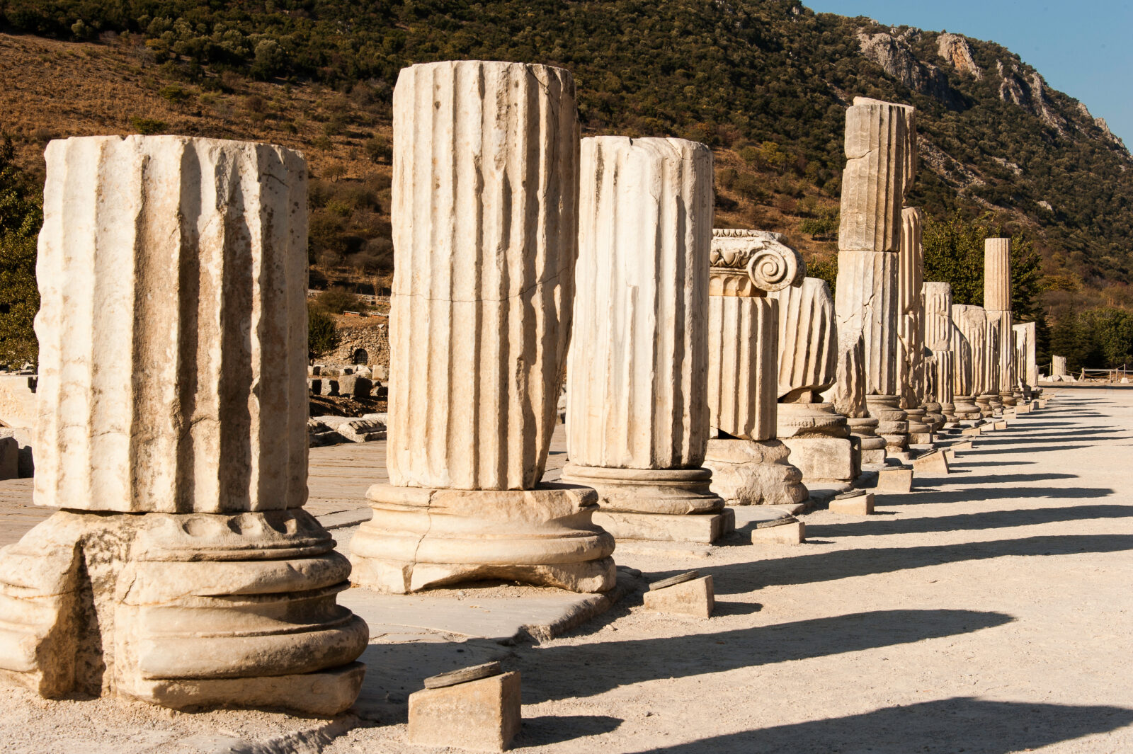Basilica Columns at Ephesus