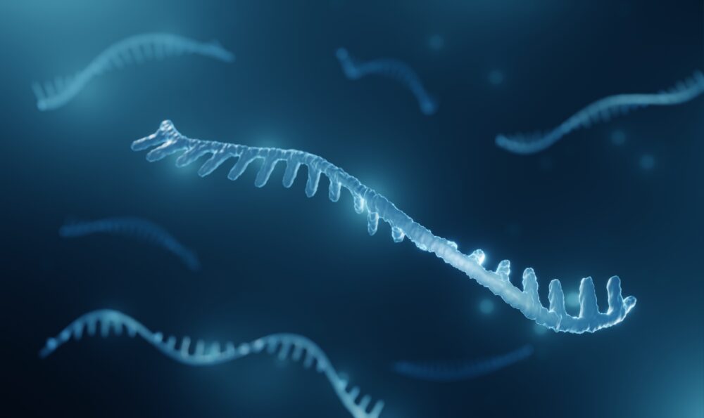 MicroRNA illustration
