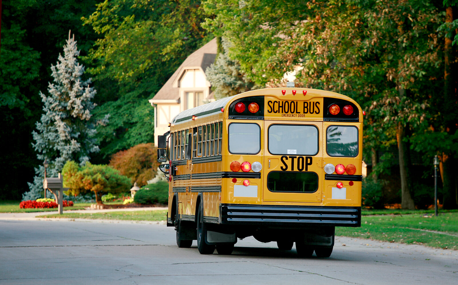 School Bus in Neighborhood
