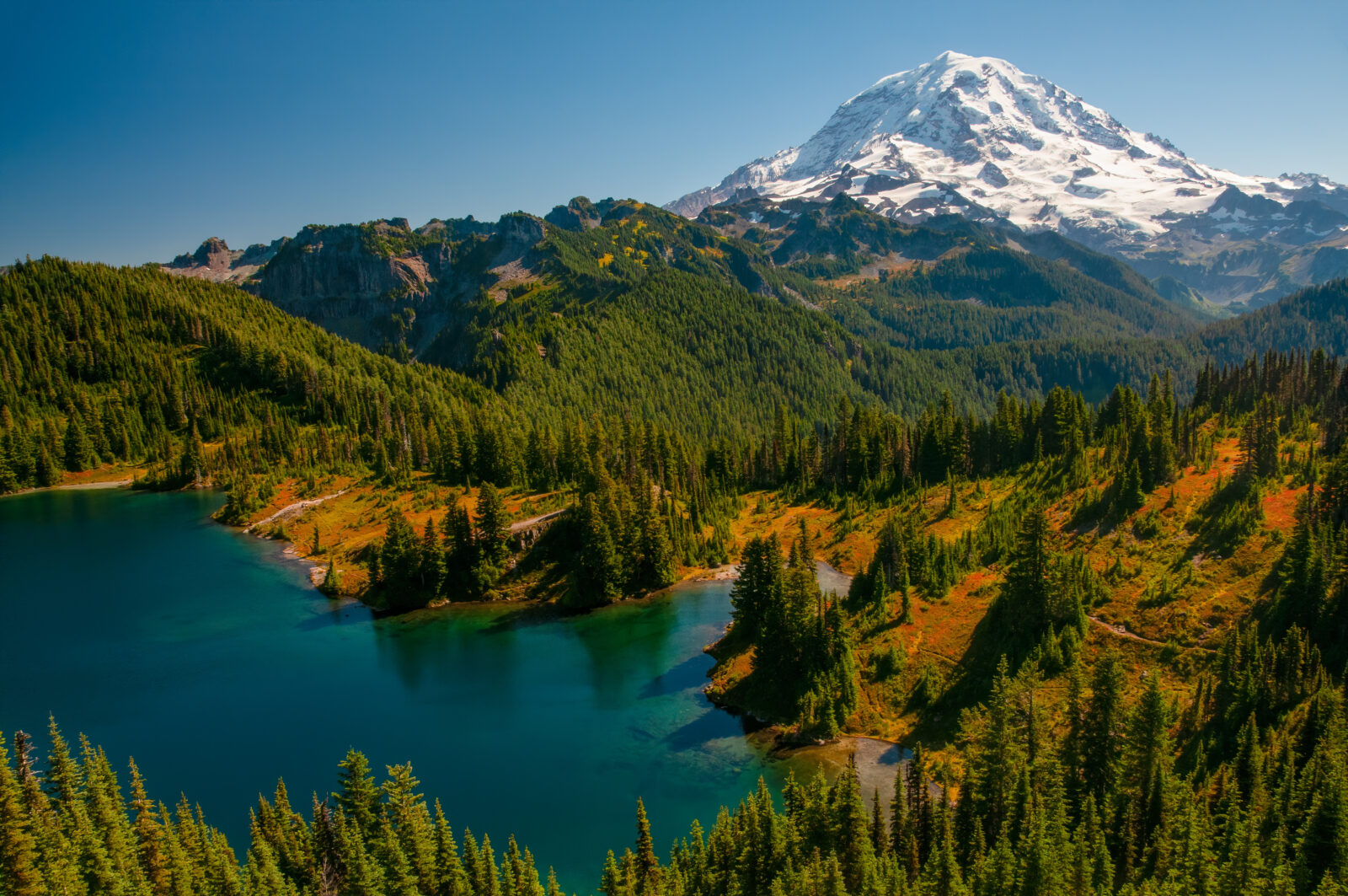 Snowy Peak of Mount Rainier