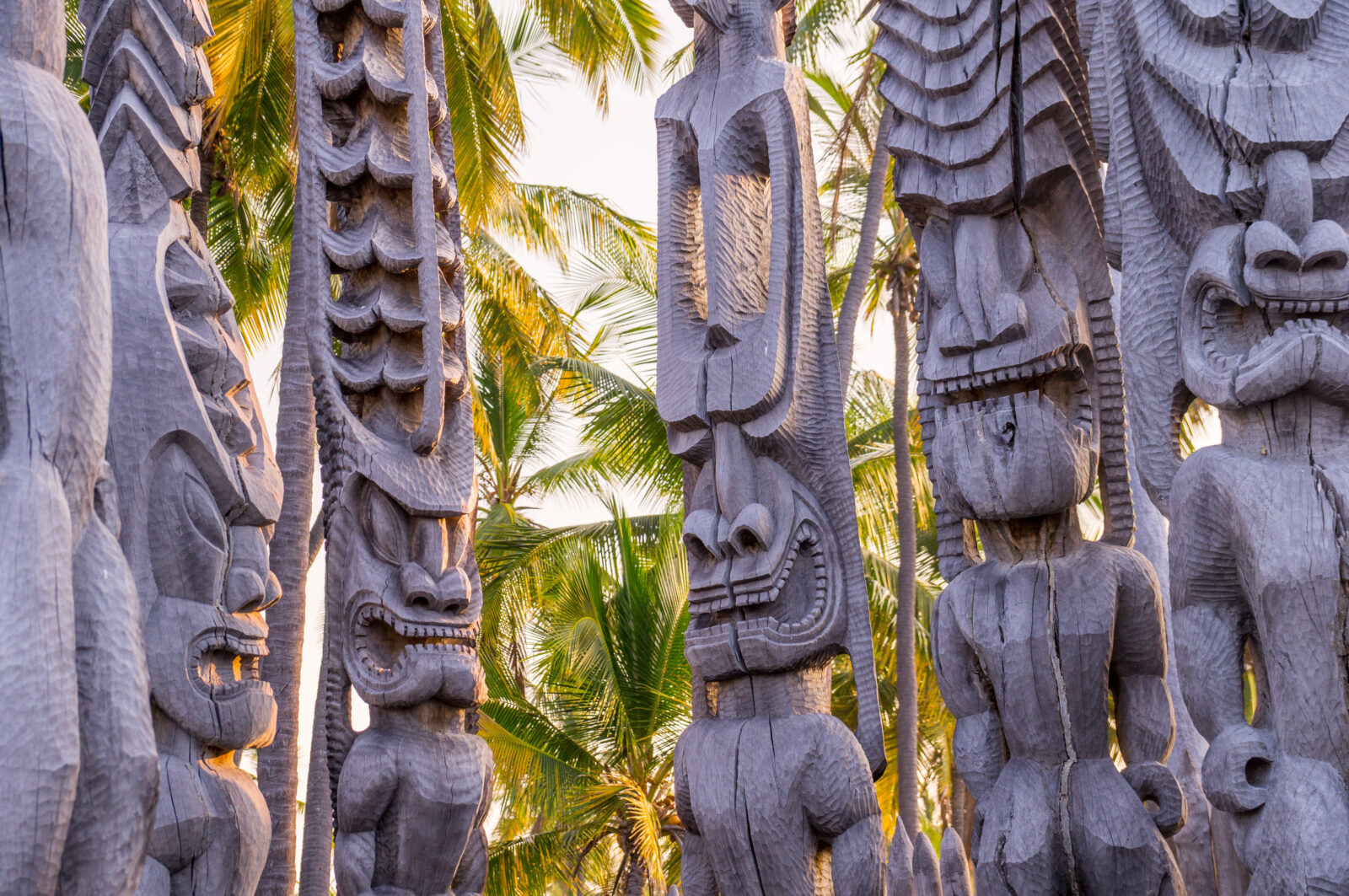 Wooden Hawaiian historical indigenous statues