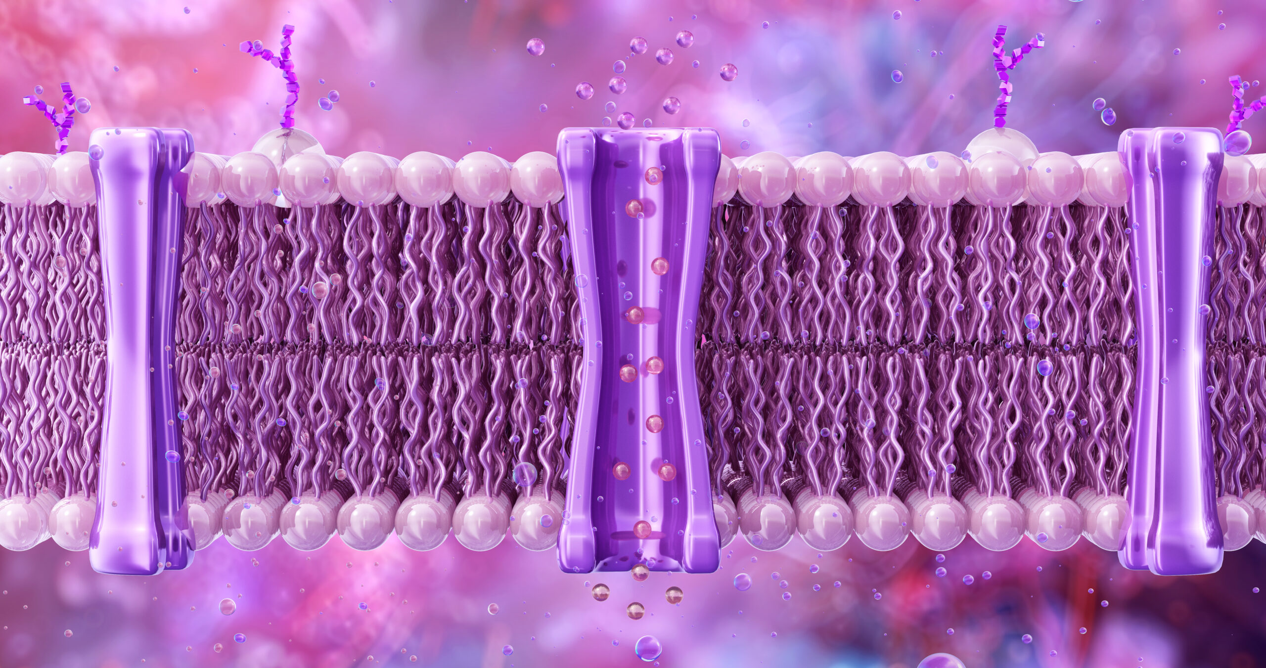 Marcos Eberlin and Jonathan Wells on Life’s Problem-Solving Engineering