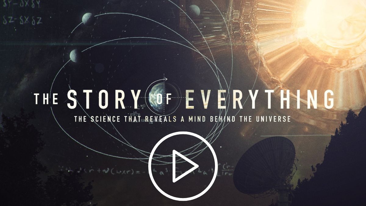 The Story of Everything Header Image