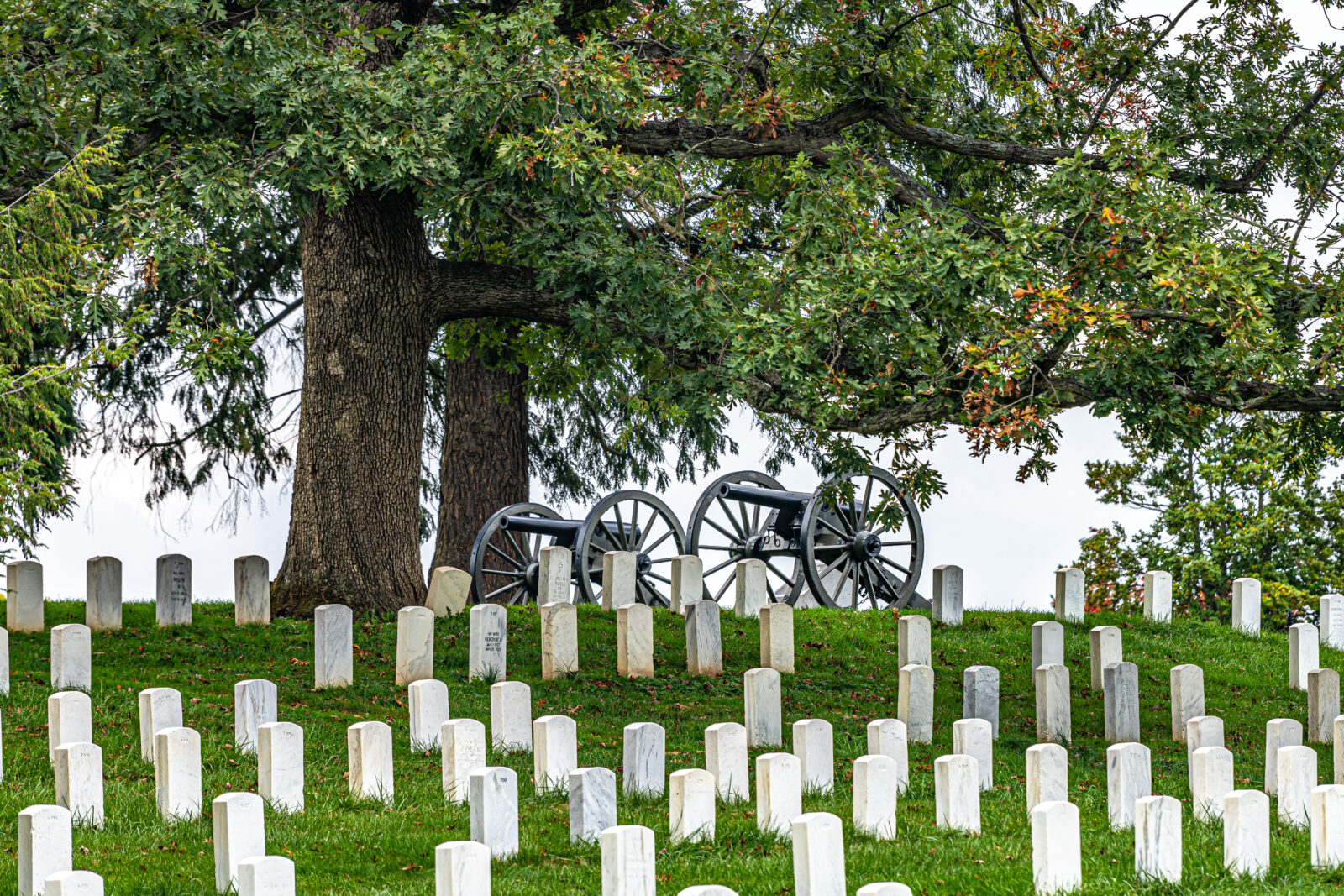 Civil War cannons with grave stones and trees in the fall