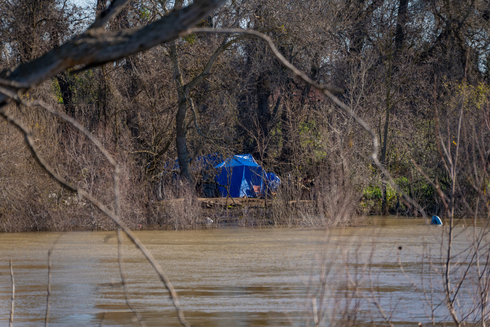 homeless encampment along the wooded banks of the Sacramento River