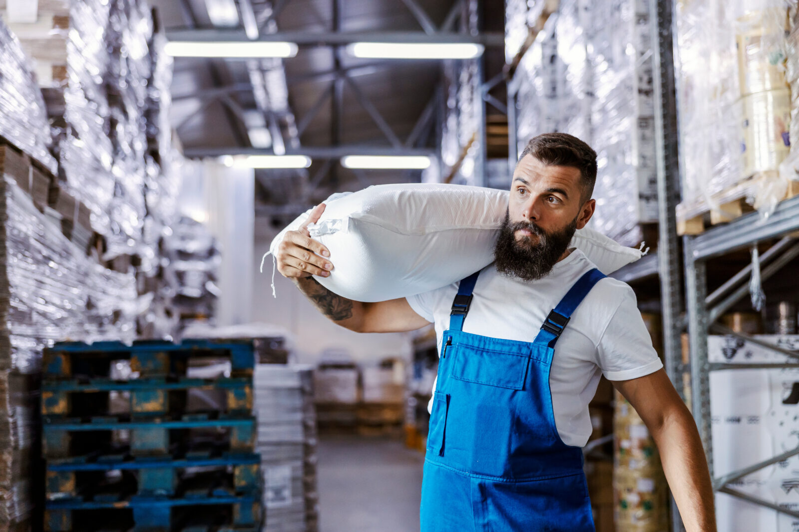 The quick warehouse worker is holding a sack with flour on his shoulder, and relocating it to another place. He is preparing orders for shipping.