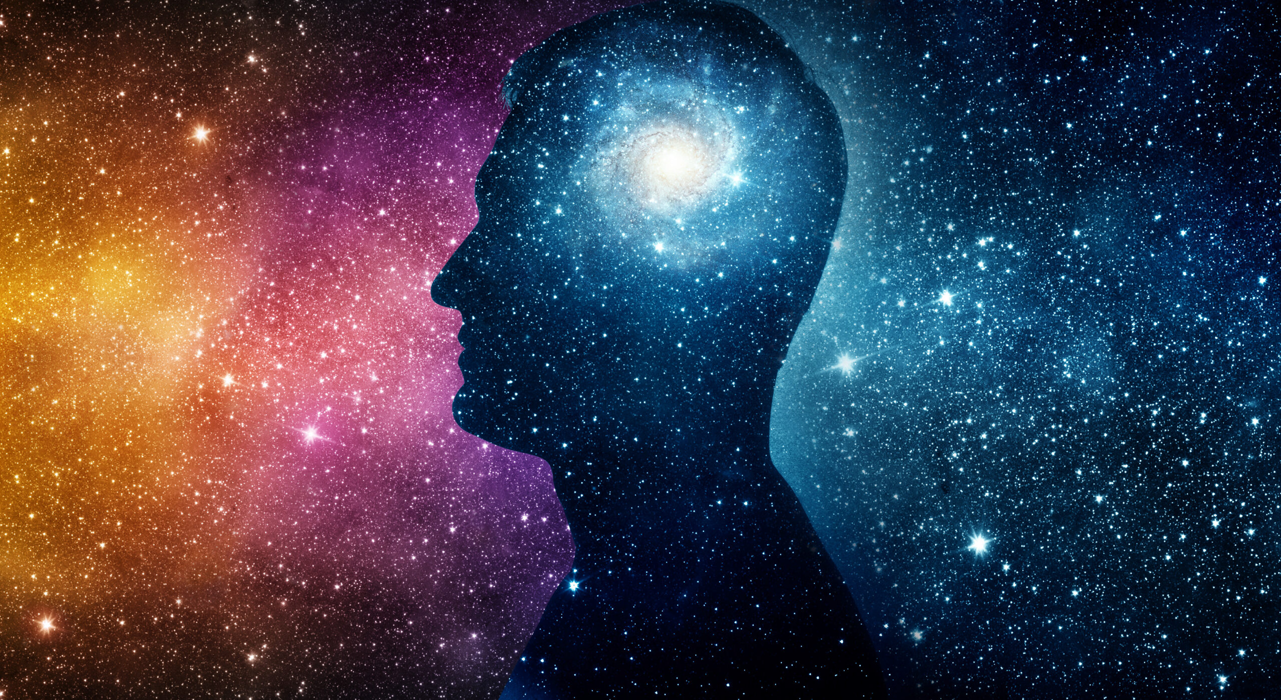 The universe within. Silhouette of a man inside the universe. The concept on scientific and philosophical topics. Elements of this image furnished by NASA.