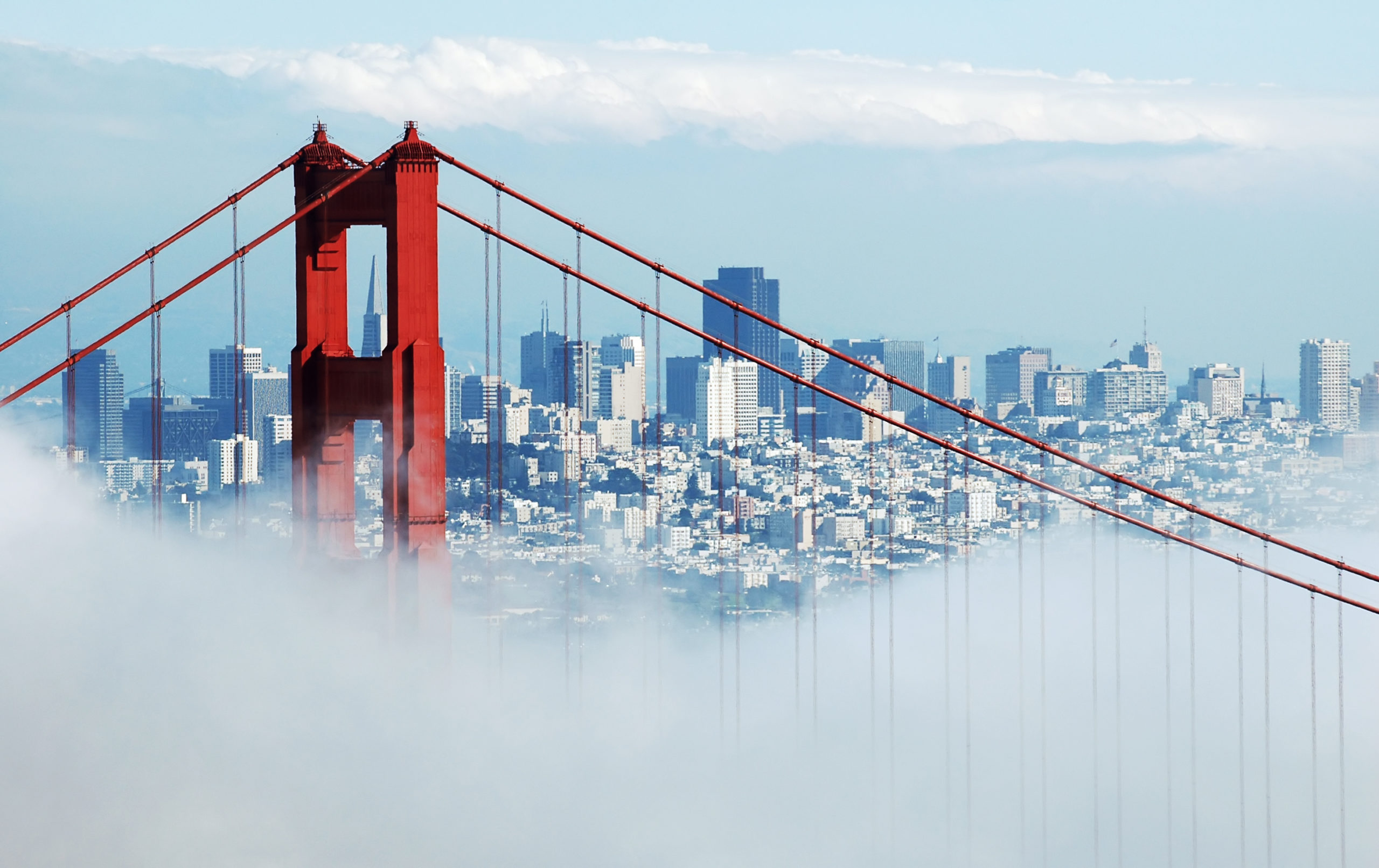 golden gate & san francisco under fog