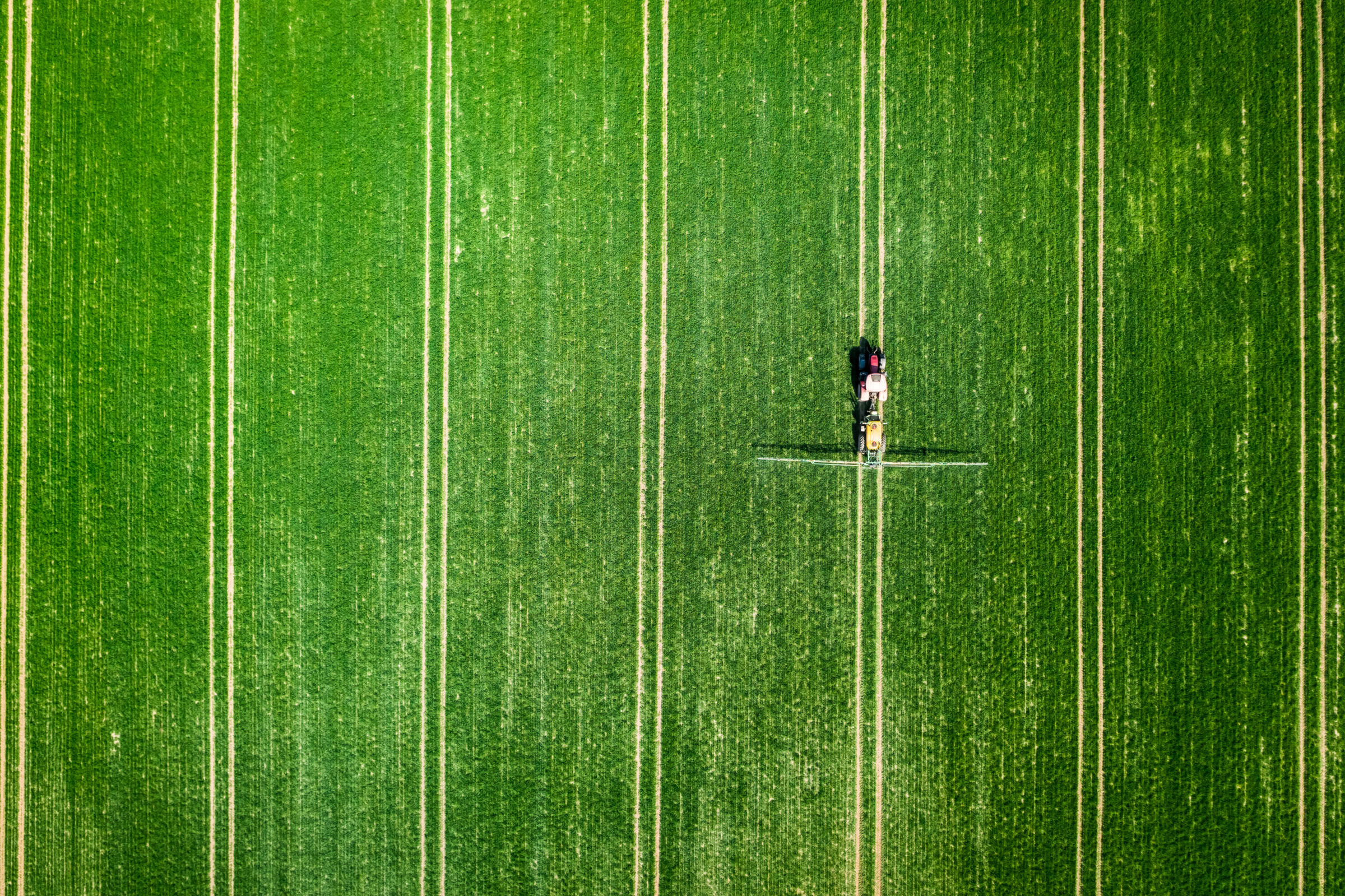 Small tractor spraying the chemicals on the field, aerial view