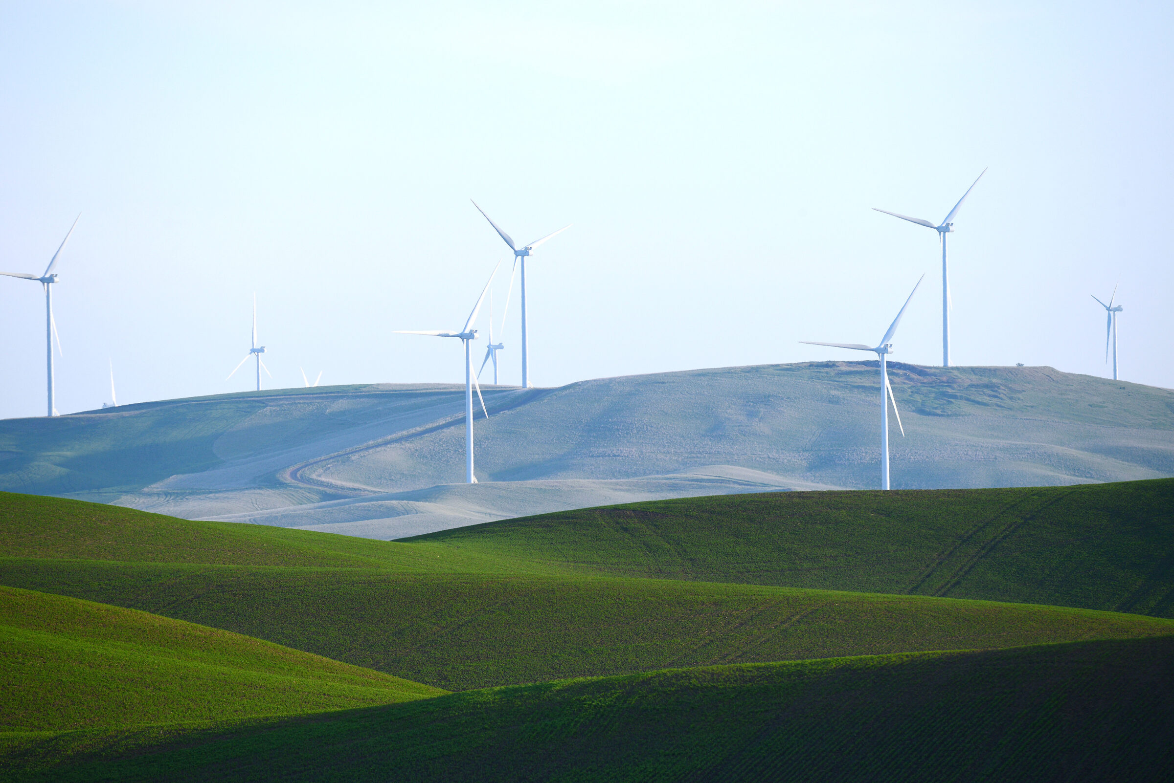 wheat farm hill with wind mill