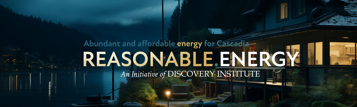 Reasonable Energy Banner at Night