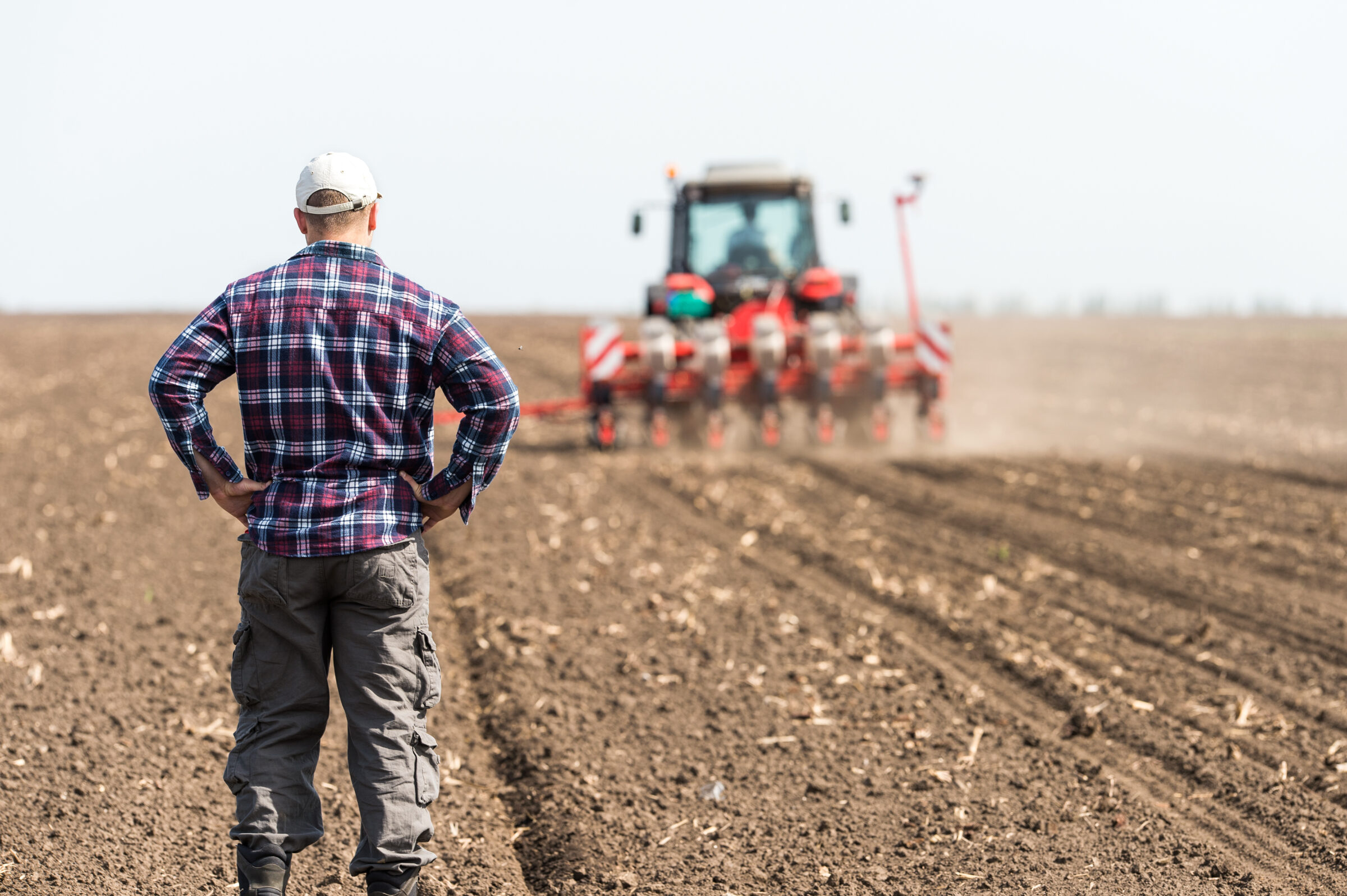 young farmer on farmland