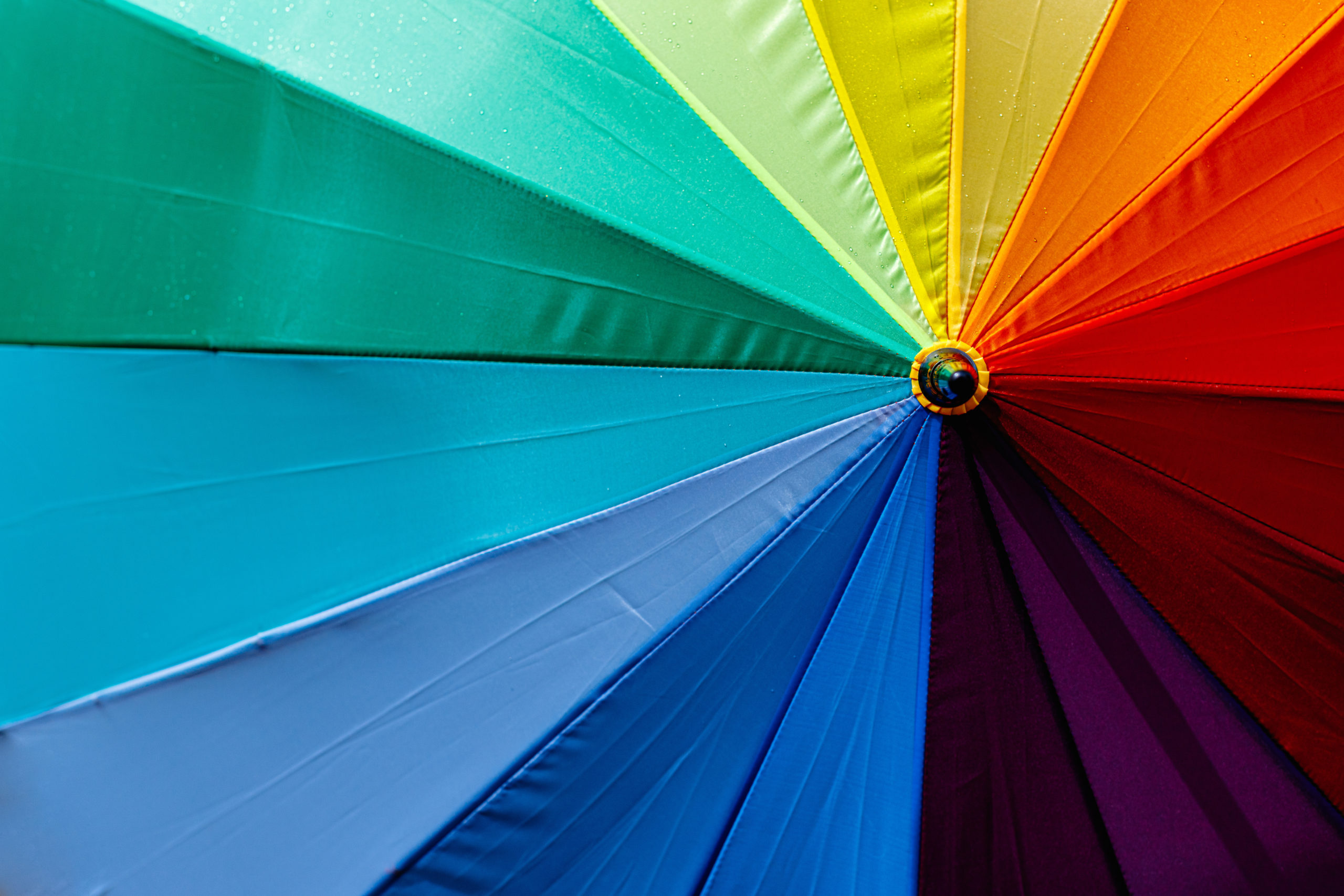 Umbrella with rainbow colors. Colorful background.