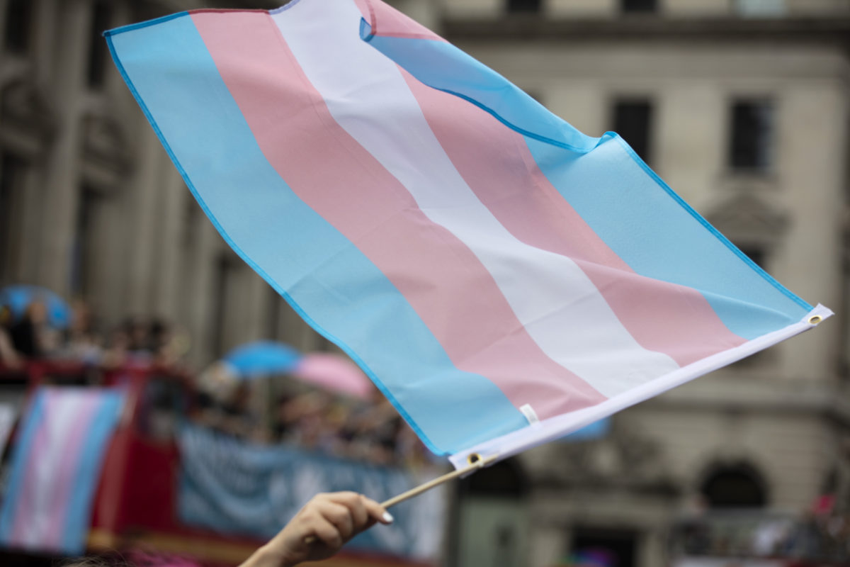 A transgender flag being waved at LGBT gay pride march