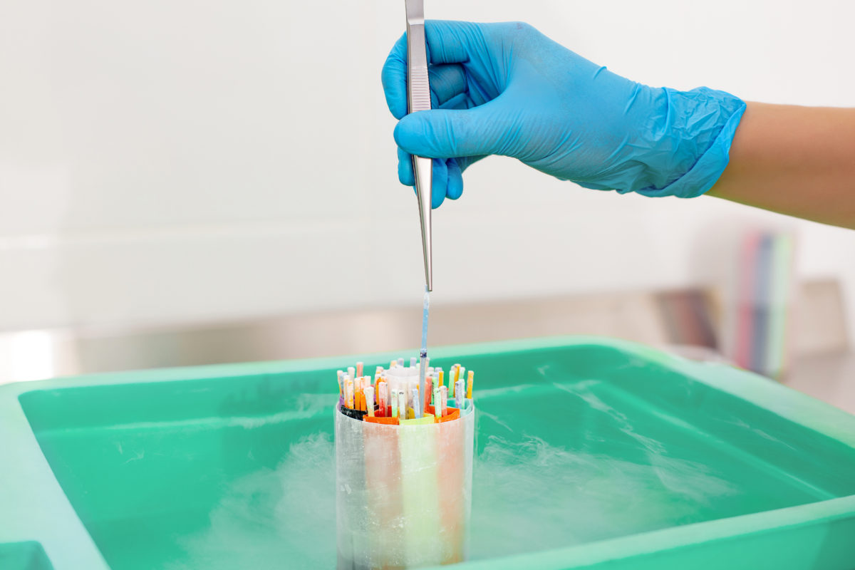 Embryos frozen in liquid nitrogen for IVF procedure close up