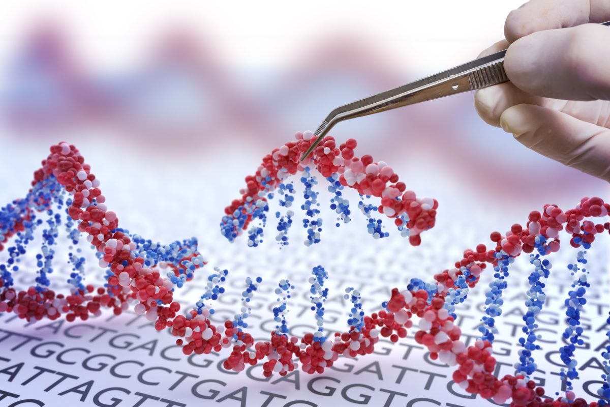 Genetic engineering, GMO and Gene manipulation concept. Hand is inserting sequence of DNA.  3D illustration of DNA.