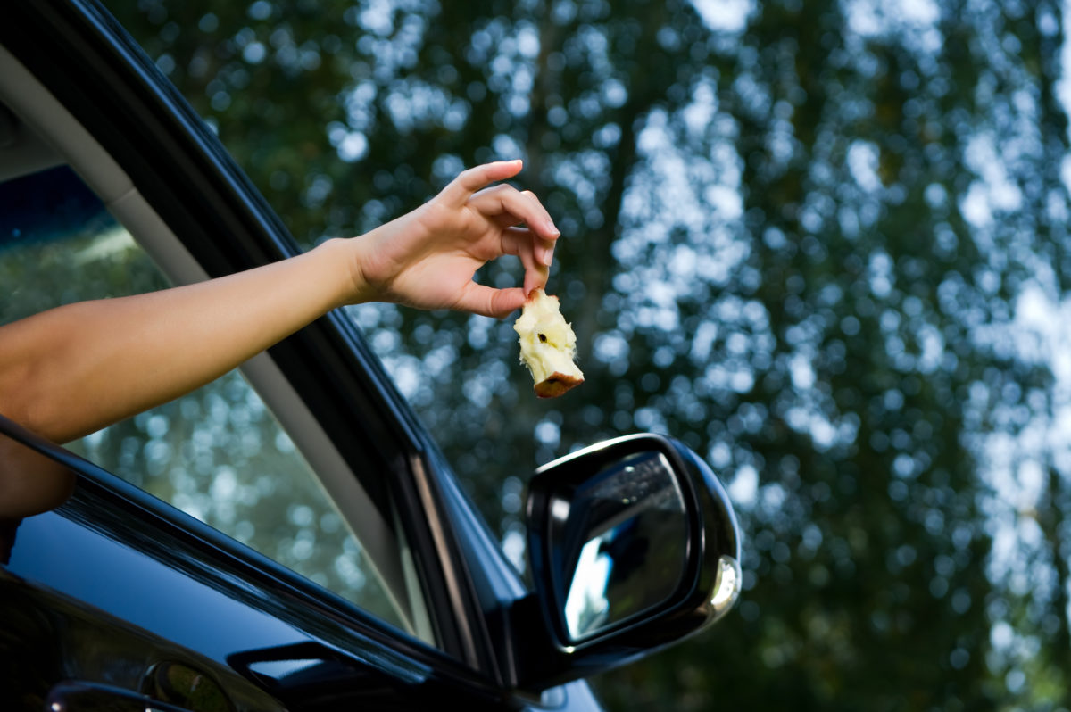 The girl is holding outside and is about to throw an apple core out of the open car window. Bottom view, against the background of blurry trees and sky, summer day. Close up