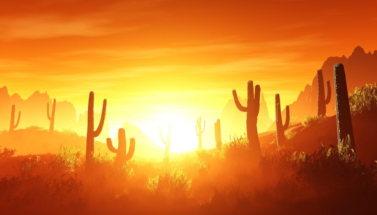 desert at sunset, rocky desert arizona with cacti under the setting sun,3D rendering