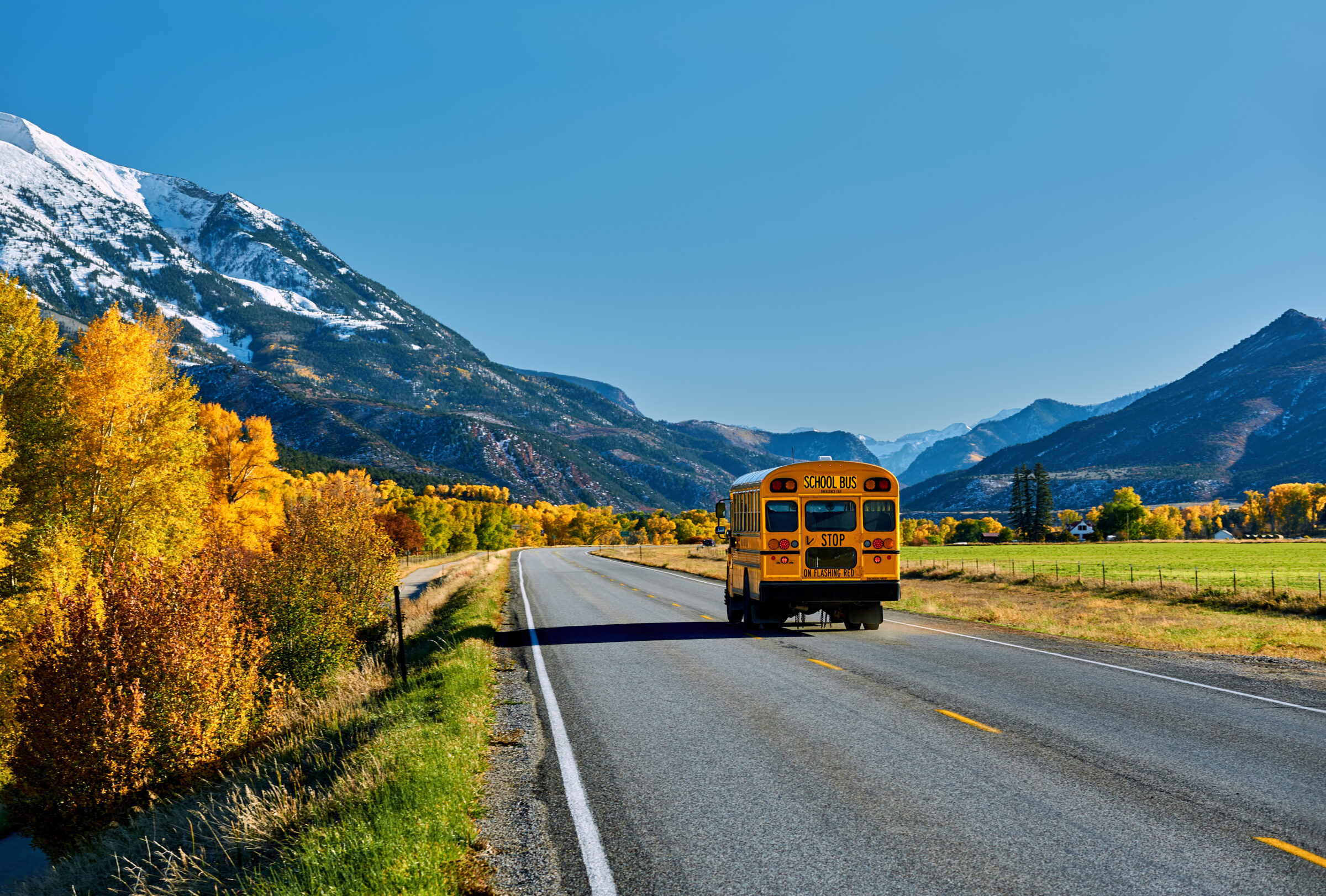 School bus on highway in Colorado at autumn