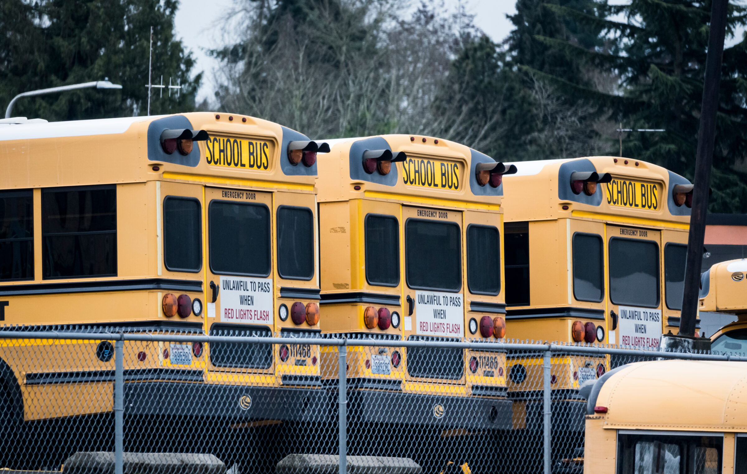 School bus lot #8