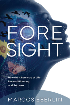 Foresight by Marcos Eberlin