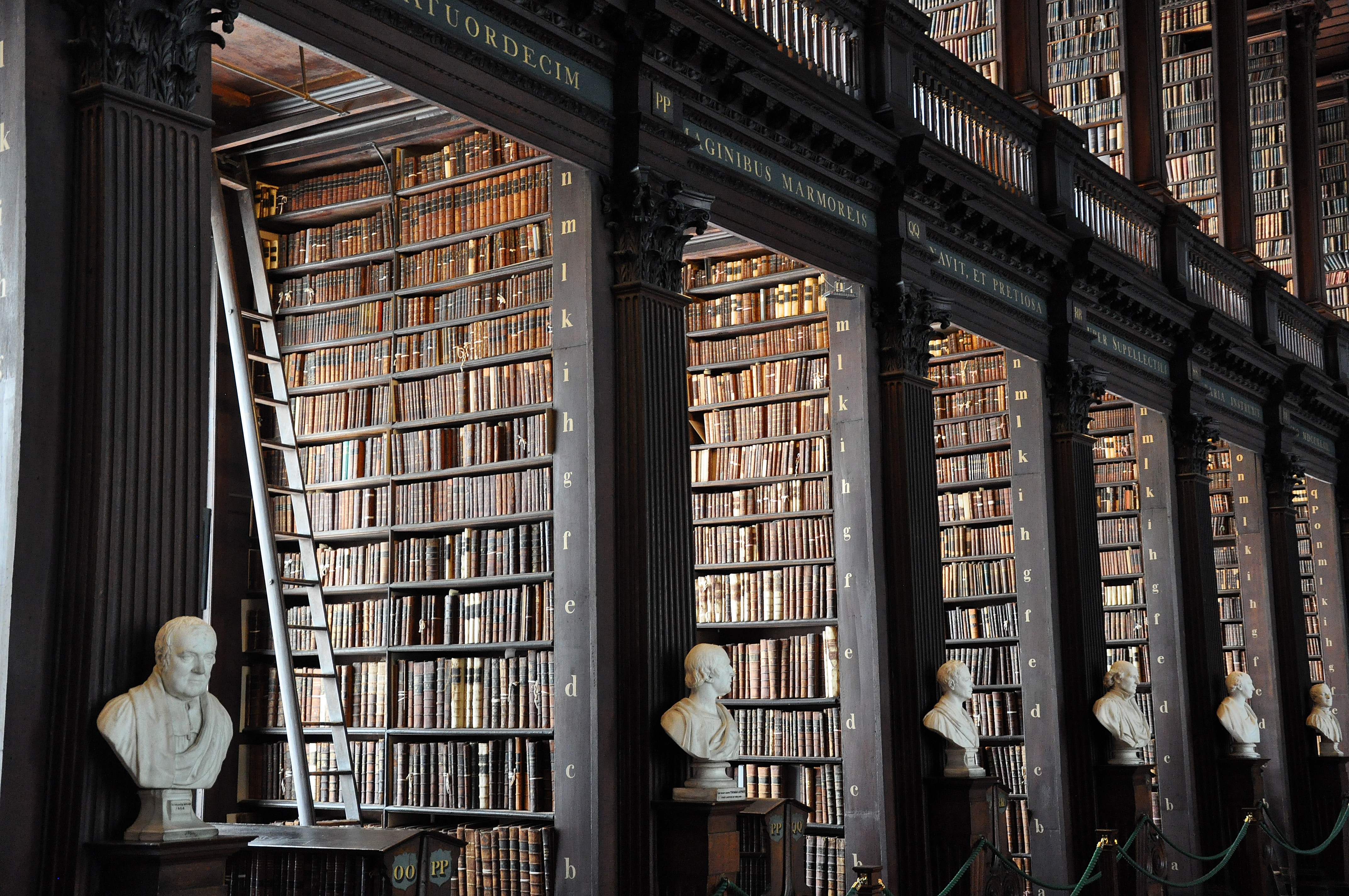 Old library with busts