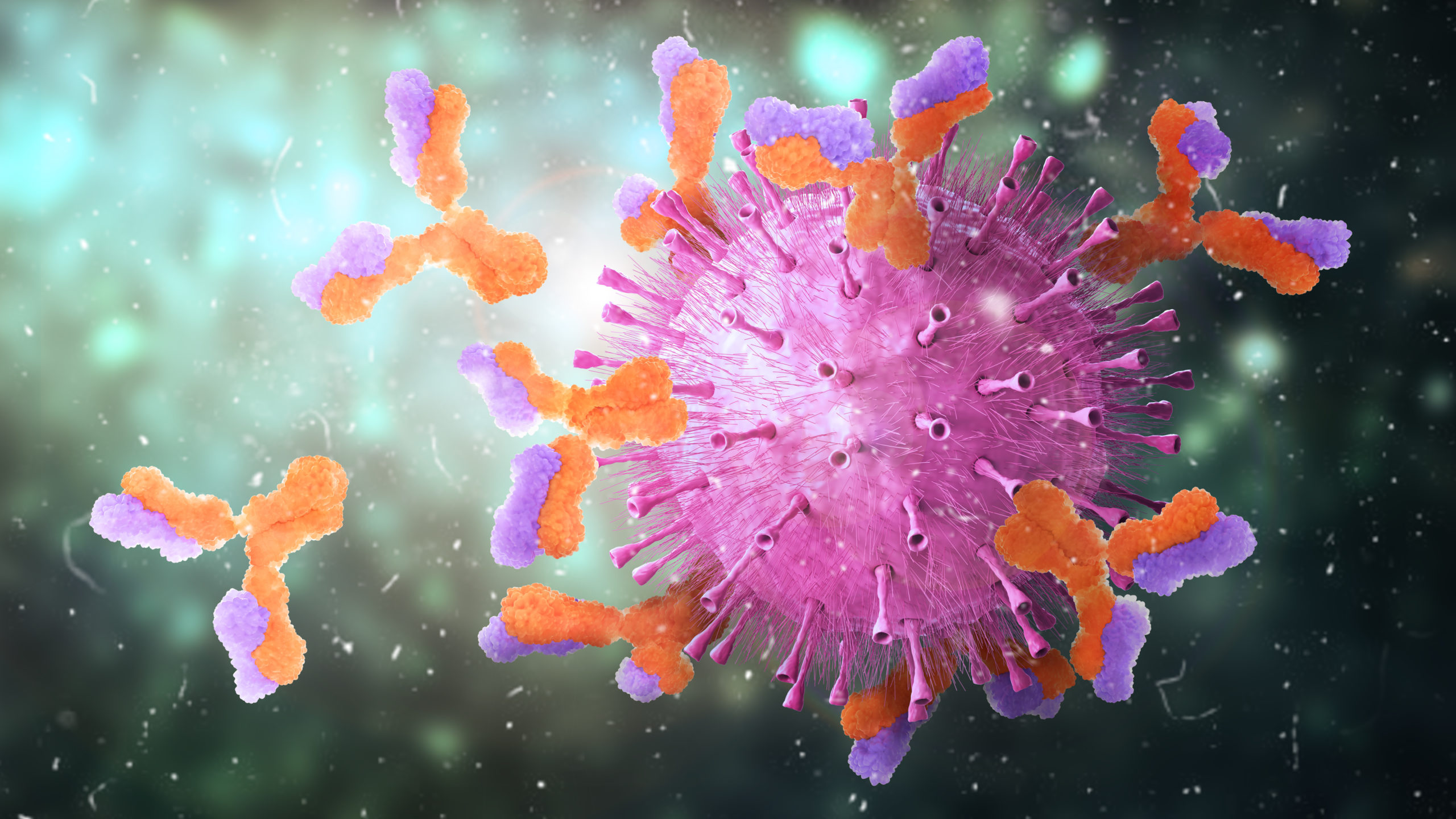 Microbiology. Antibodies attack virus. 3d illustration