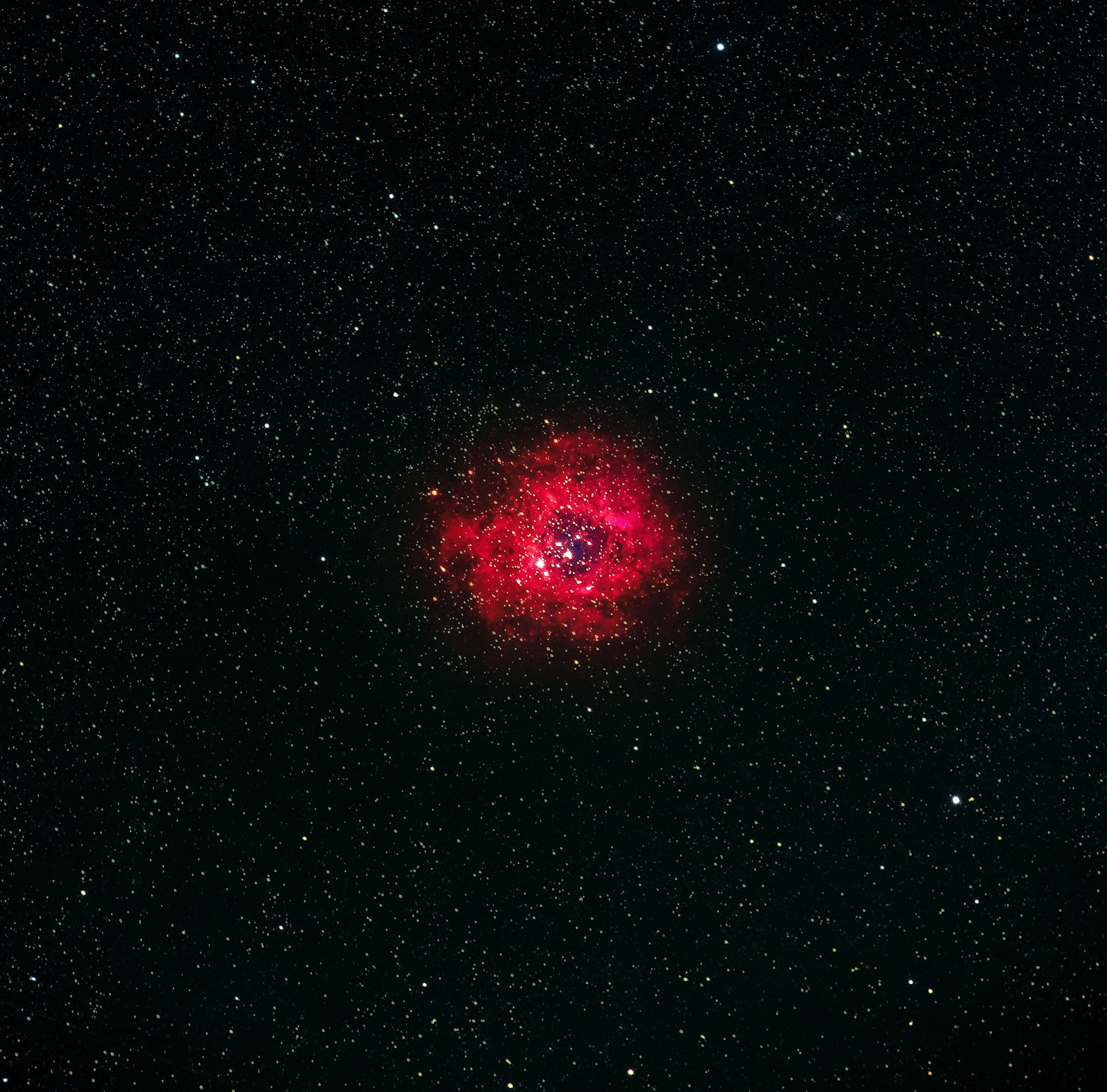 rosette nebula