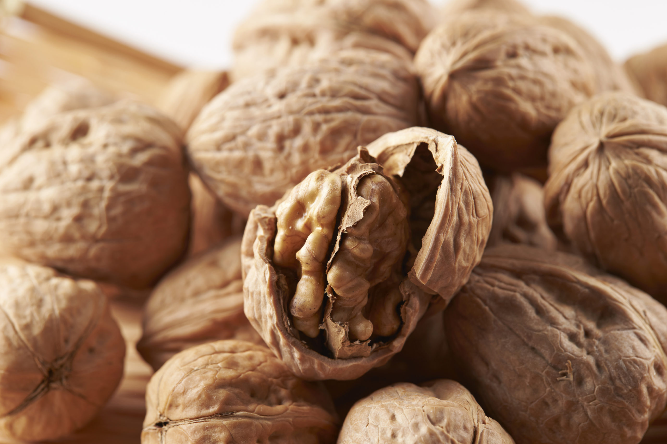 Pile of walnuts on white background